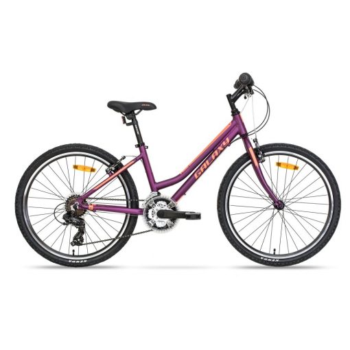 Galaxy Lyra 24" - model 2019 fialová